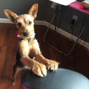 Meet your Posher, Denise